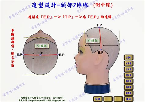 頭部七條基準線中 側頭線是